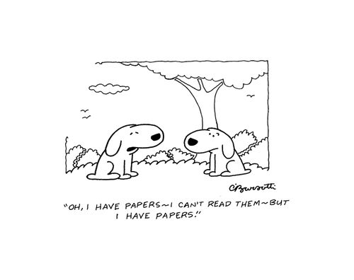 "Oh, I have papers - I can't read them - but I have papers."