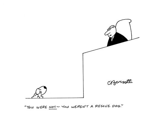 "You were not - You weren't a rescue dog."