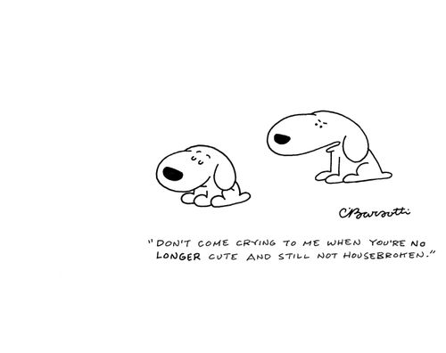 "Don't come crying to me when you're no longer cute and still not housebroken."