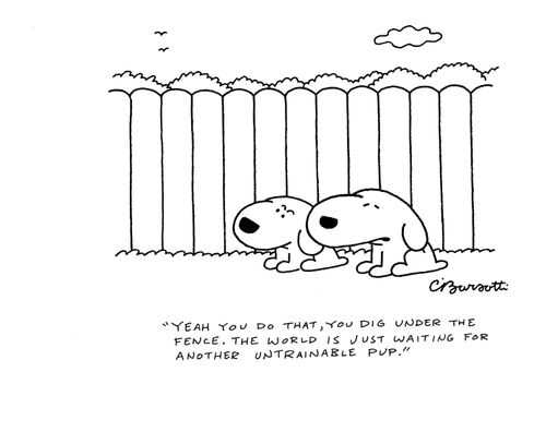 "Yeah you do that, you dig under the fence. The world is just waiting for another untrainable pup."