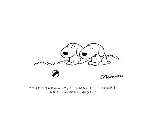 "They throw it, I chase it - there are worse gigs."