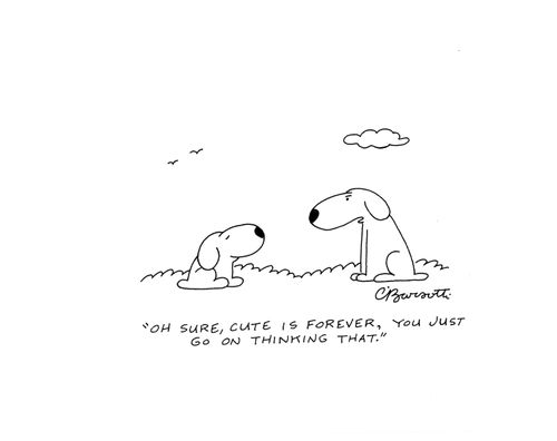"Oh sure, cute is forever, you just go on thinking that."