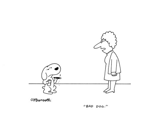 "Bad Dog"