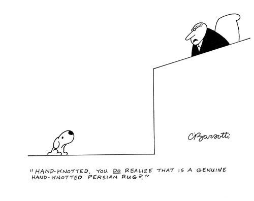 "Hand-knotted. You do realize that is a genuine hand-knotted Persian rug?"