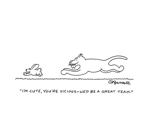 "I'm cute, you're vicious - we'd be a great team."