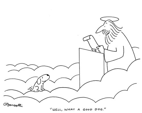 "Well, what a good dog."