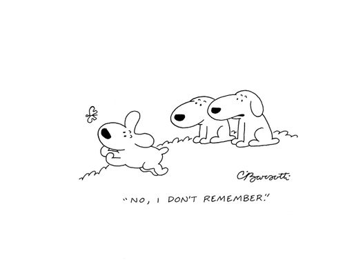 "No, I don't remember."