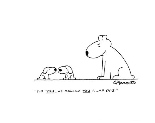 "No you, he called you a lap dog."