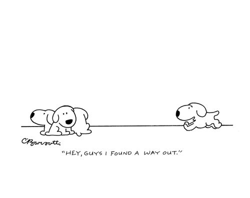 "Hey, guys I found a way out."