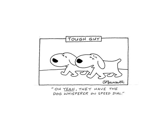 Tough Guy