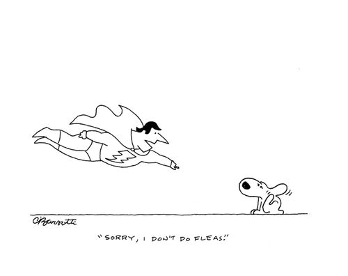 "Sorry, I don't do fleas."