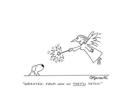 "Granted, from now on they'll fetch."