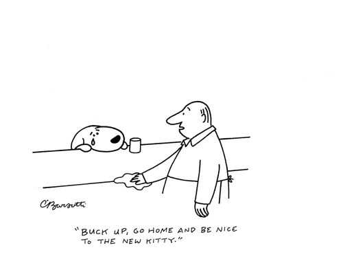 "Buck up, go home and be nice to the new kitty."
