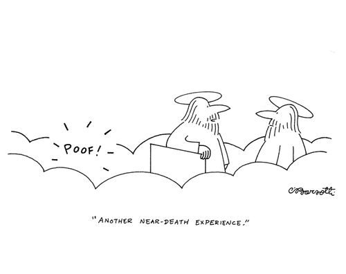"Another near-death experience."