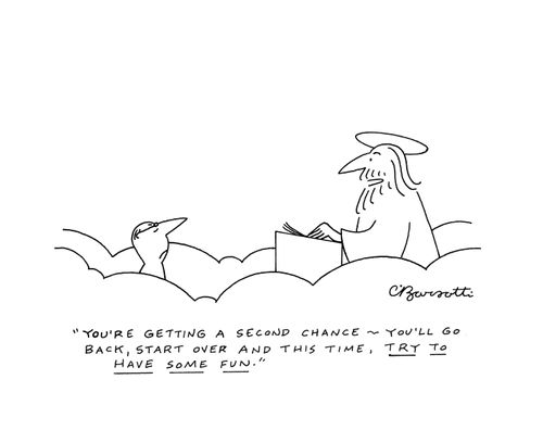 "You're getting a second chance—you'll go back, start over and this time, try to have some fun."
