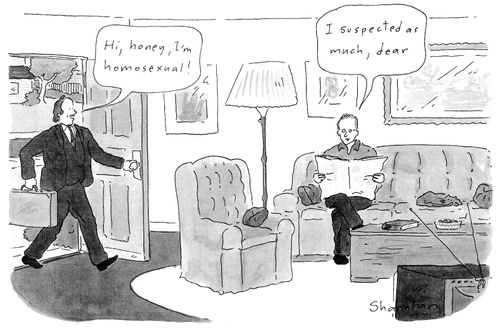 "Hi, honey, I'm homosexual!"