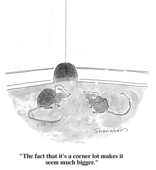 "The fact that it's in a corner lot makes it seem much bigger."