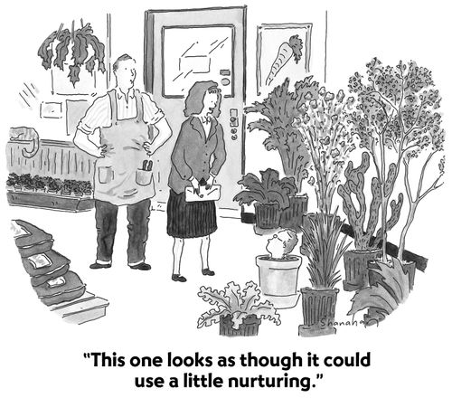 "This one looks as though it could use a little nurturing."