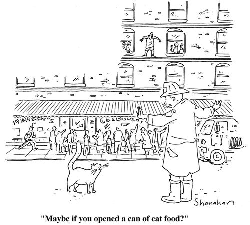 "Maybe if your opened a can of cat food?"
