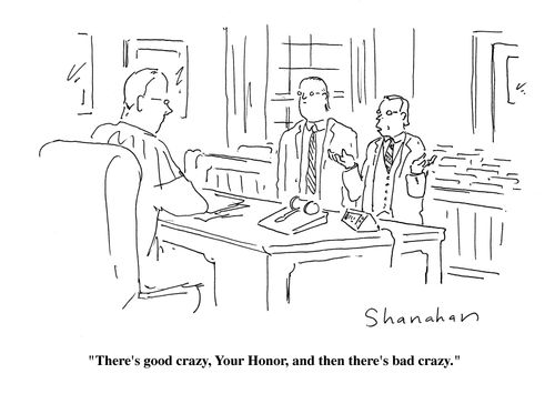 "There's good crazy, Your Honor, and then there's bad crazy."
