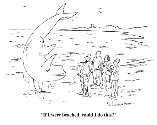 "If I were beached, could I do this?"