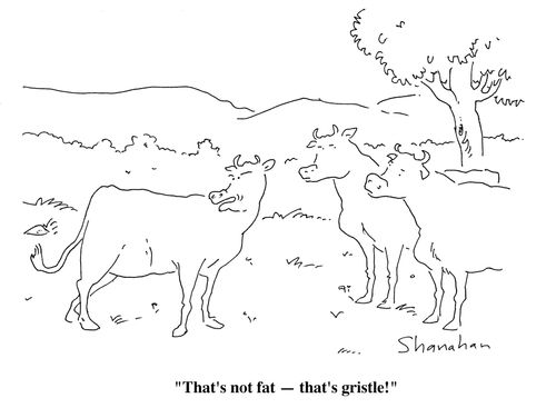 "That's not fat- that's gristle!"