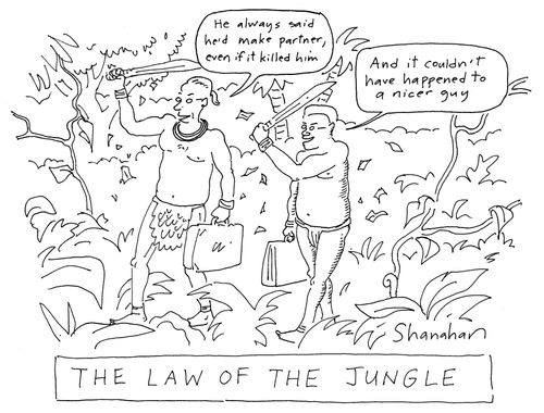 The law of the jungle