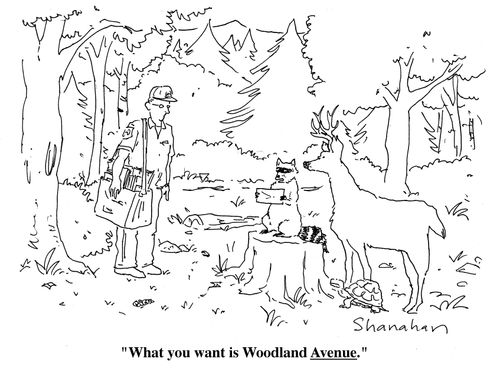 "What you want is Woodland Avenue."