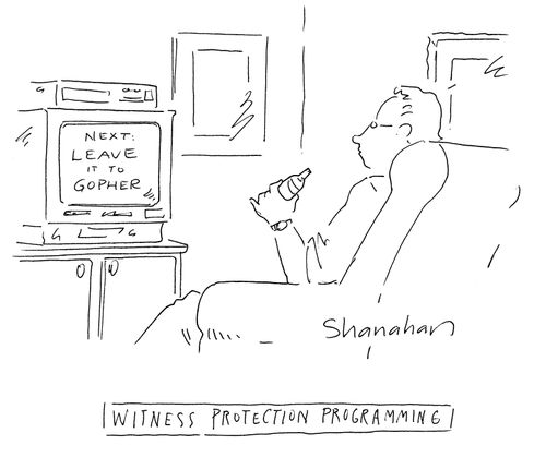 Witness protection programming.