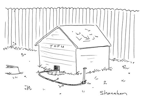 Tofu