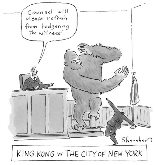 King Kong vs the City of New York