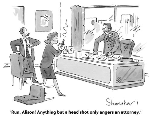 "Anything but a head shot only angers an attorney."