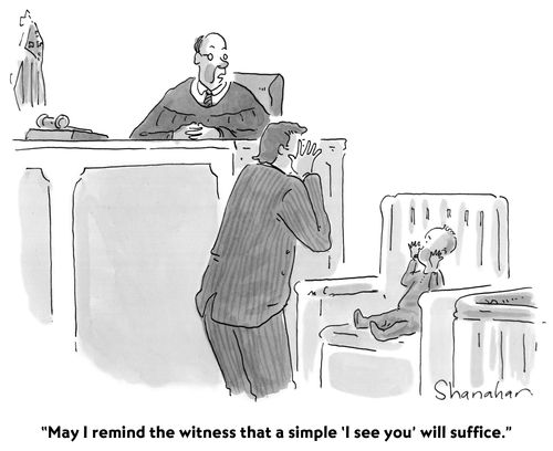 "May I remind the witness that a simple 'I see you' will suffice."