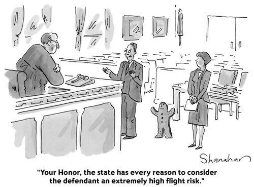 "Your Honor, the state has every reason to consider the defendant an extremely high flight risk."