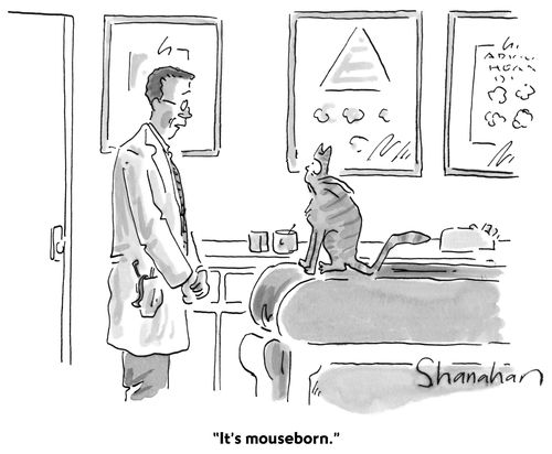"It's mouseborn."