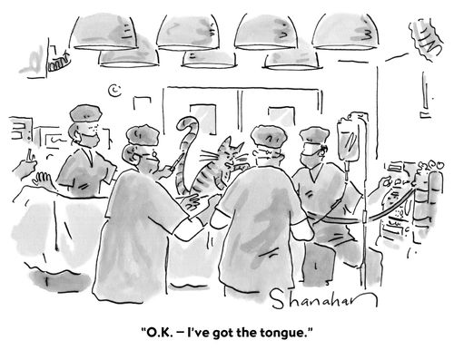 "O.K.—I've got the tongue."