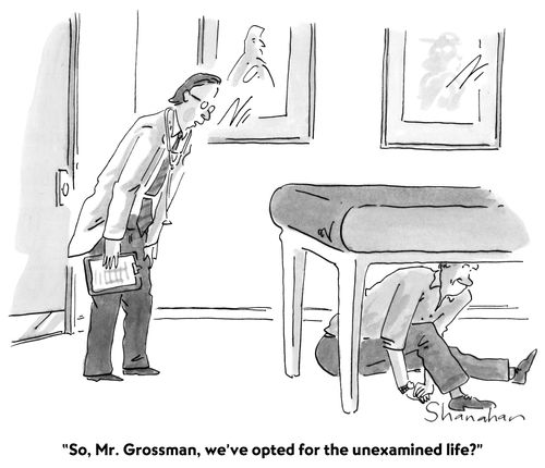 "So, we've opted for the unexamined life?"