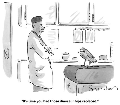 "It's time you had those dinosaur hips replaced."