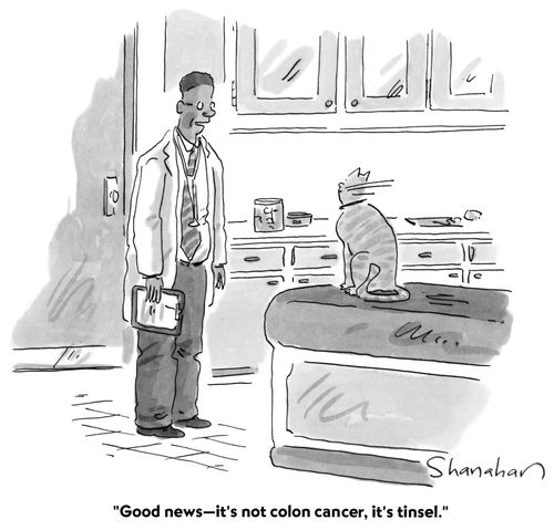 "Good news—it's not colon cancer, it's tinsel."