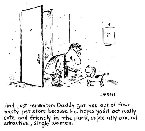 "And just remember: Daddy got you out of that nasty pet store because he hopes you'll act really cute and friendly in the park, especially around attractive, single women."
