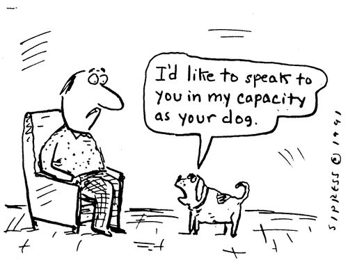 "I'd like to speak to you in my capacity as your dog."