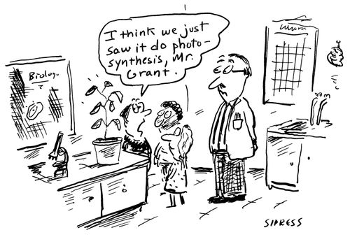 "I think we just saw it do photosynthesis, Mr. Grant."