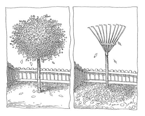 A tree with leaves; a rake standing upright in a pile of leaves.