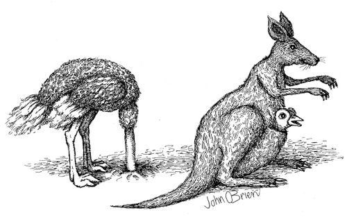An ostrich sticks its head in the sand and then out of a nearby kangaroo's pouch.