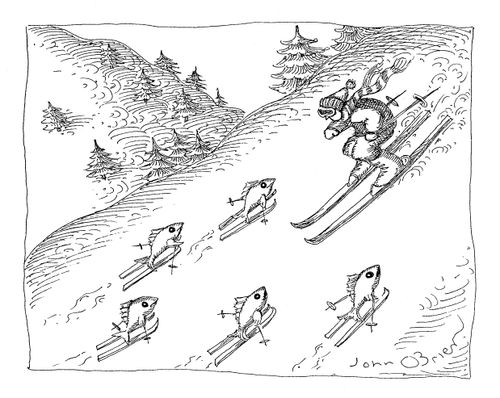 Evolved to Ski.