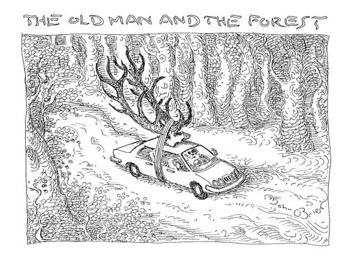 The old man and the forest