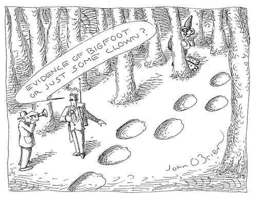 "Evidence of Bigfoot or just some clown?"