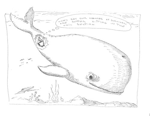 "They say your chances of survival are better sitting in the tail section."