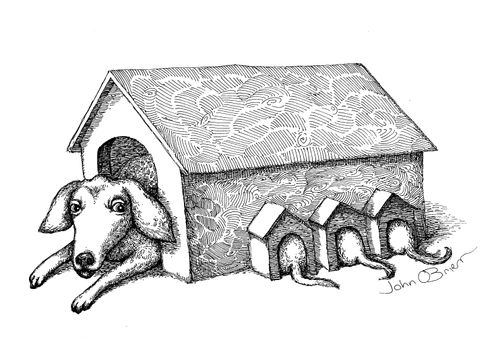 A mother dog in a big dog house feeding her puppies who are all in their own small dog houses.