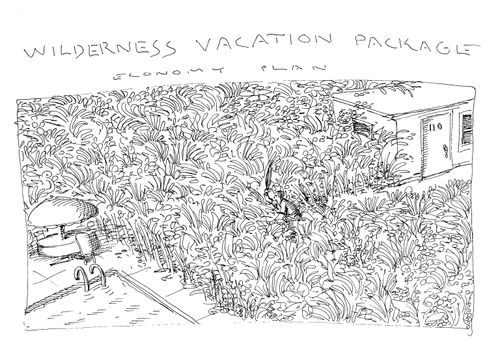 Wilderness Vacation Package - Economy Plan